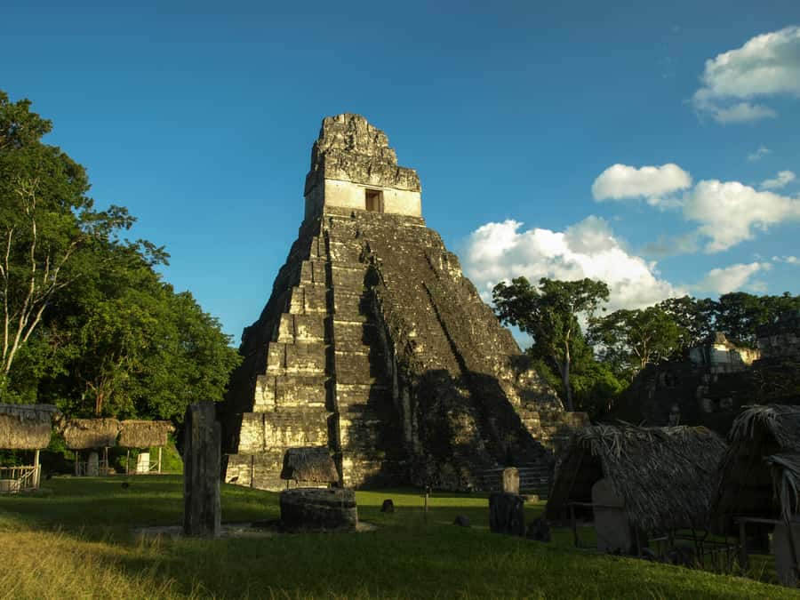 From San Ignacio: Tikal Maya Site Day-Trip with Local Lunch - Wildlife around the ancient stones