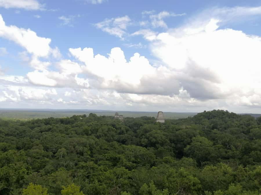 Impressive Tikal from Flores with Lunch - Group size, language, and pace