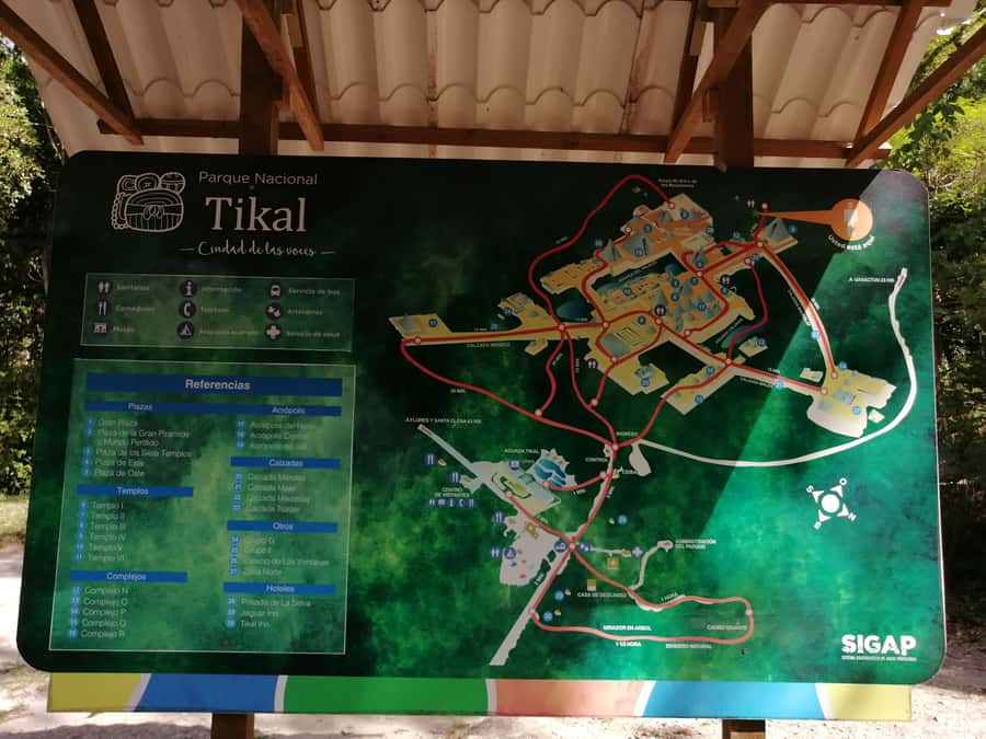Impressive Tikal from Flores with Lunch - Why Tikal works best with a guide