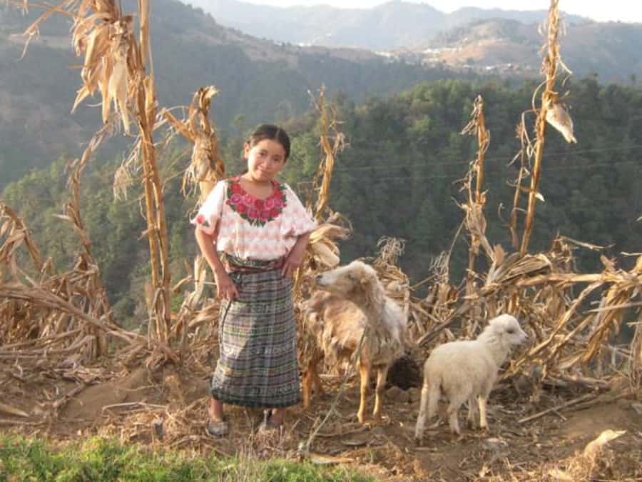 Lower Mayan Trail: San Marcos to Santa Cruz 4-Hour Hike - The high trail above Lake Atitlan