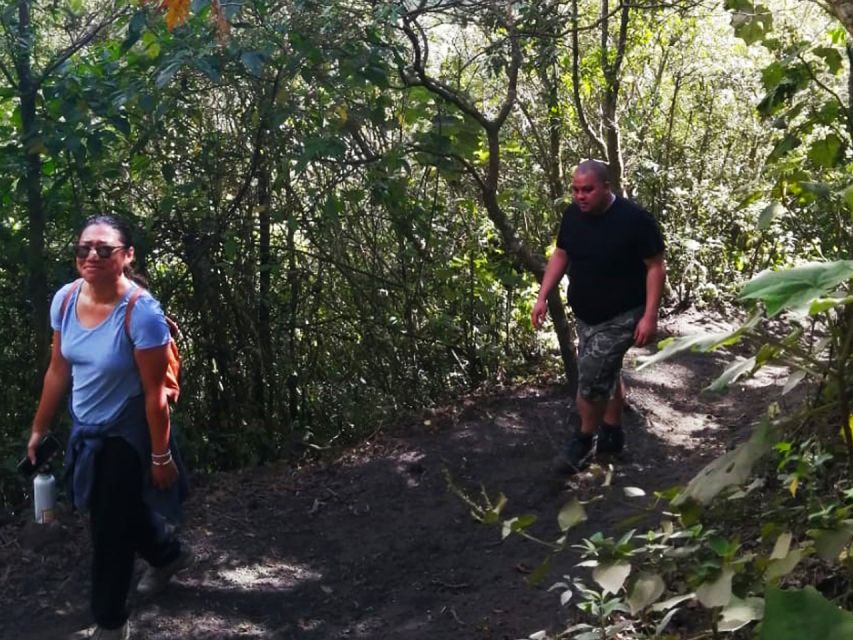Pacaya Volcano Tour & Hot Springs from Guatemala City - Should you book this volcano and spa combination?