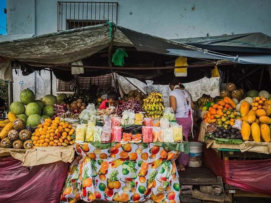 San Salvador: Full Day Ruta de Las Flores and Coffee Farm - Key points to know before you book