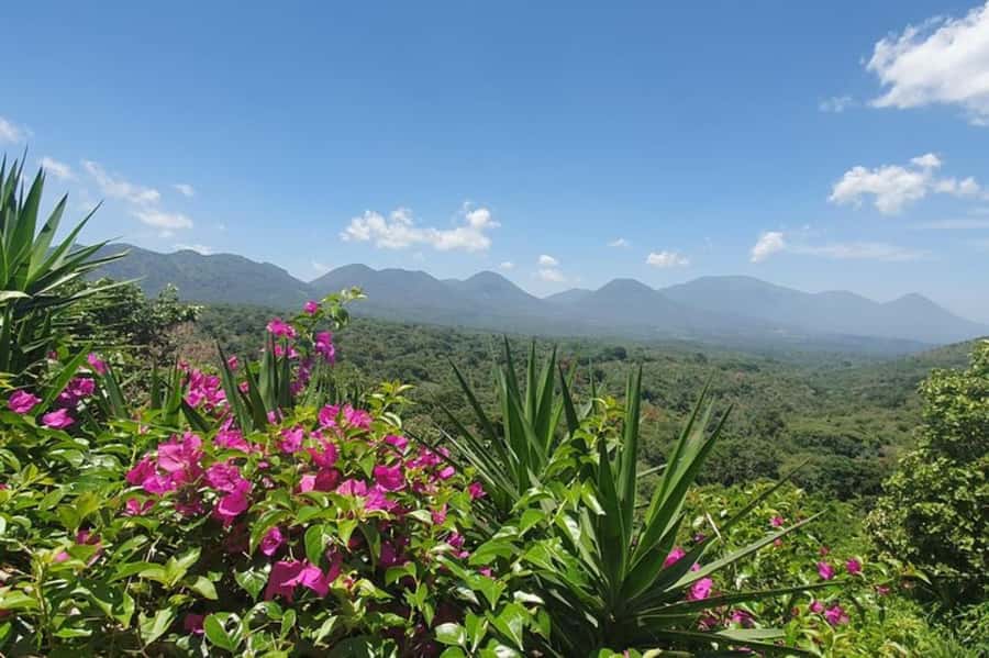 San Salvador: Full Day Ruta de Las Flores and Coffee Farm - Nahuizalco market: start with everyday El Salvador