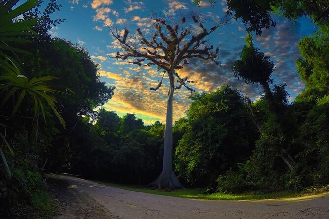 Tikal Day Tour From San Ignacio Belize - Who Will Get the Most From This Day