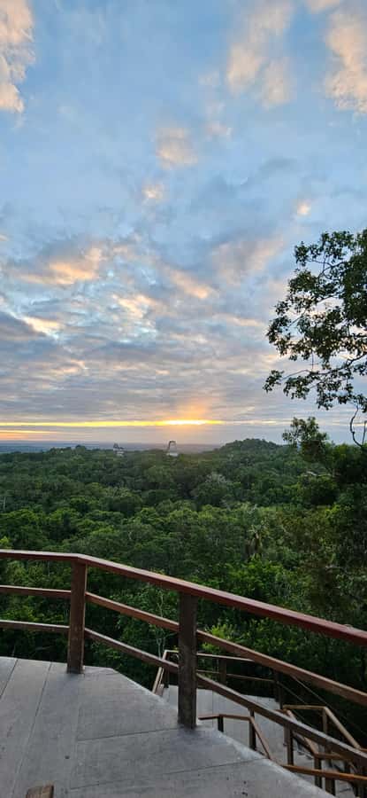 Tikal from Hotel Camino Real El Remate - All Inclusive - The first steps into Tikal