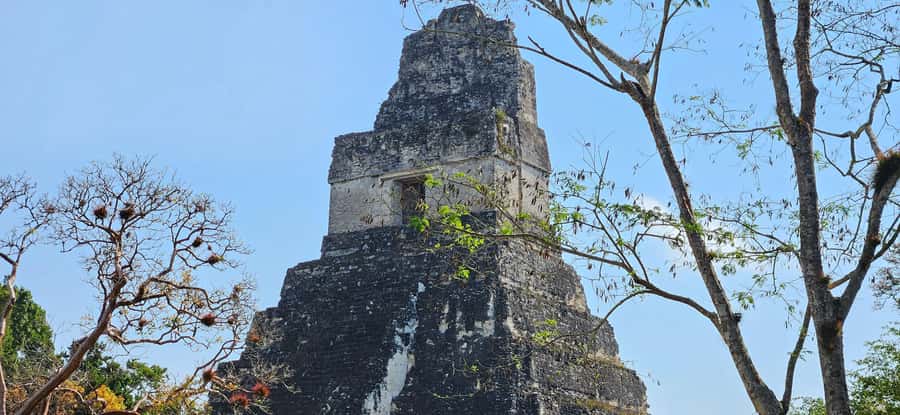 Tikal from Hotel Camino Real El Remate - All Inclusive - Four hours on foot in the Petén rainforest