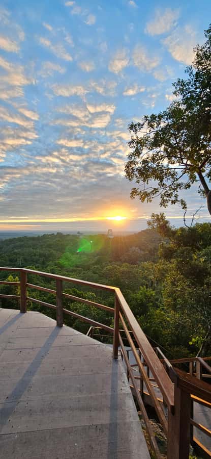 Tikal Group Tour Transportation, Guide plus Lunch - Pickup From Flores, the Airport, or El Remate