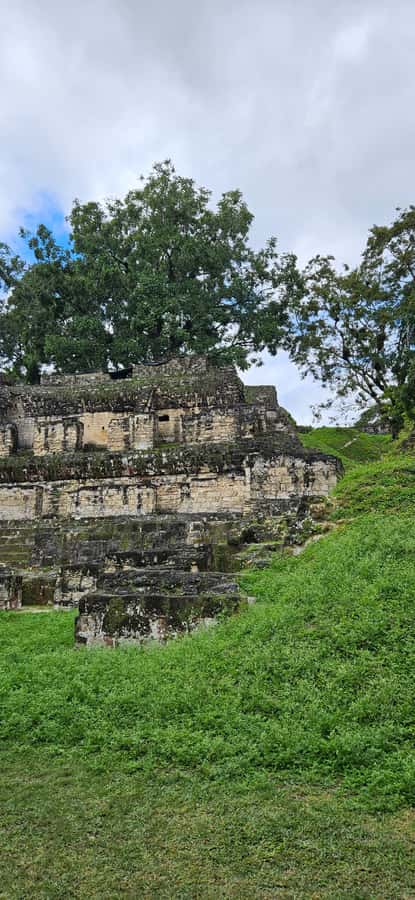 Tikal Group Tour Transportation, Guide plus Lunch - Temple IV and the Best High View