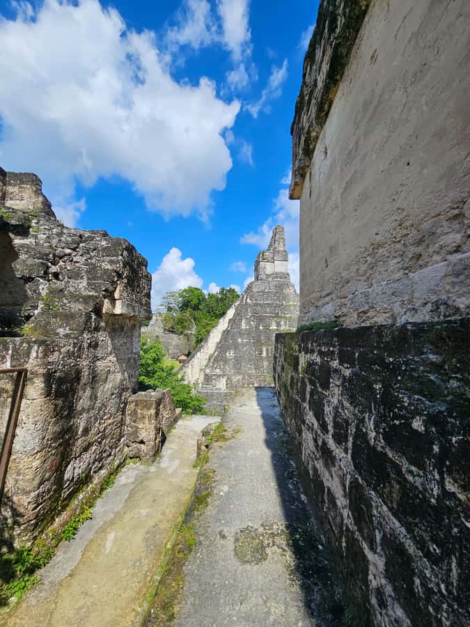 Tikal Group Tour Transportation, Guide plus Lunch - Entering the Maya City Through Forest Trails