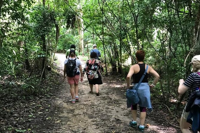 Tikal Private Day Tour Maya Adventure from Flores - Temple IV and the Star Wars View