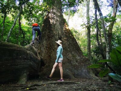 Tikal Sunrise, Archeological focus and Wildlife Spotting