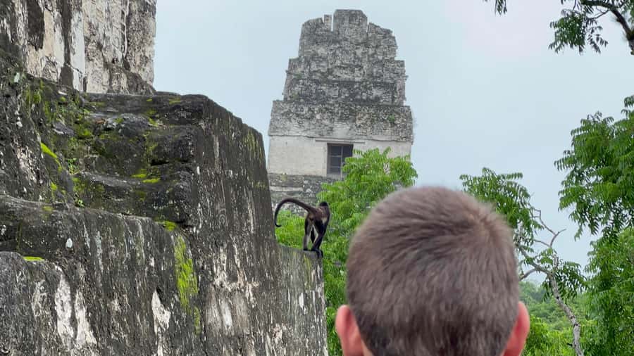 Tikal Sunrise, Archeological focus and Wildlife Spotting - A long morning, not a quick ruin visit