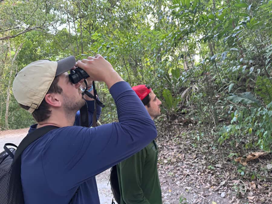 Tikal Sunset, Archeological focus and Wildlife Spotting - Lunch at Jaguar Inn before the main walk