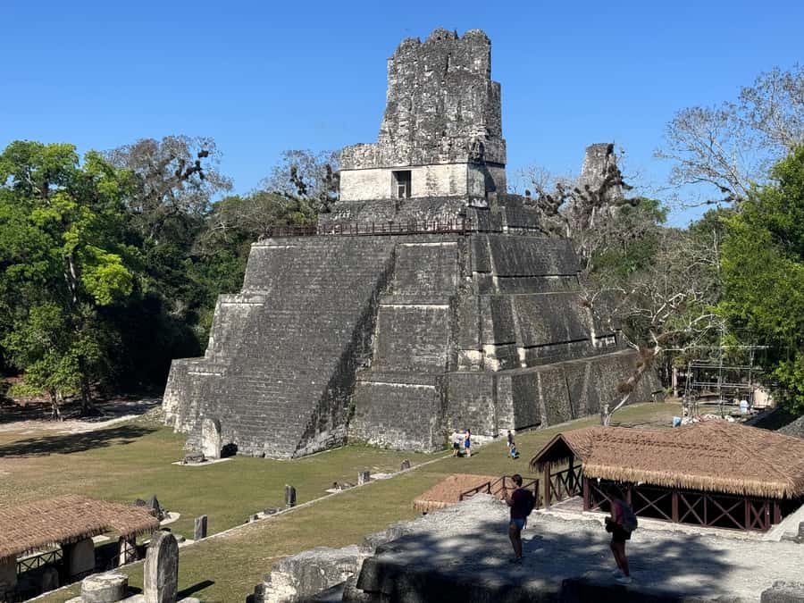 Tikal Sunset, Archeological focus and Wildlife Spotting - Hotel pickup across Petén and Belize