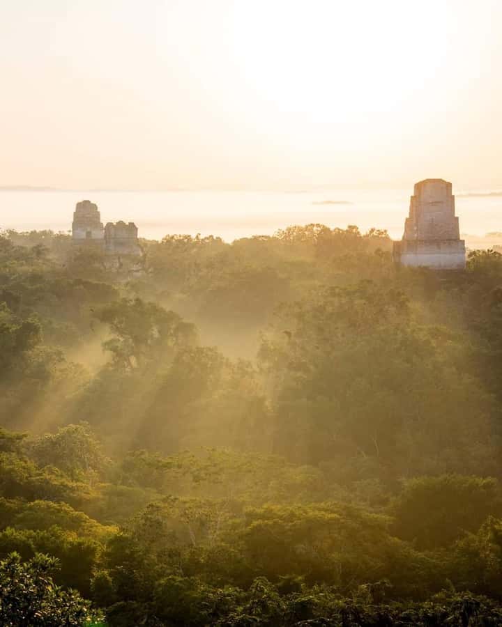 Tour and transportation with tour guide to Tikal. - Four hours among temples and public squares