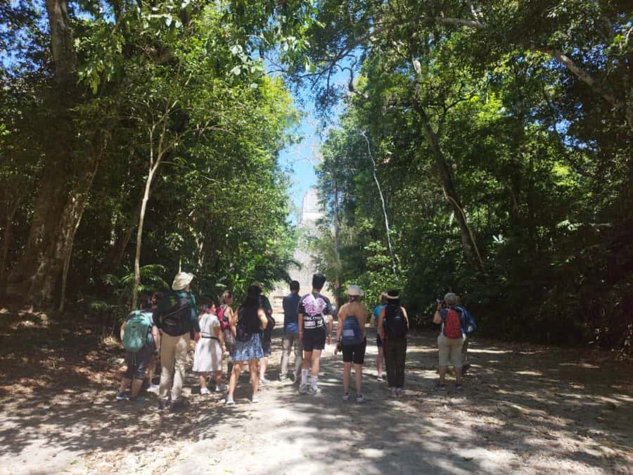 Tour to Tikal: from Mundo Maya Airport in Flores - Central Plaza, Temple I, and Temple II