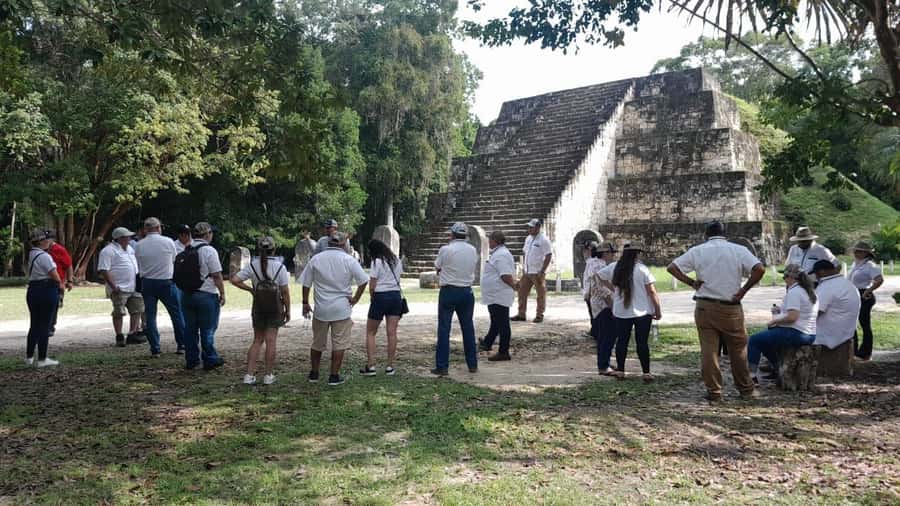 Tour to Tikal: from Mundo Maya Airport in Flores - Temple IV and the Lost World pyramid